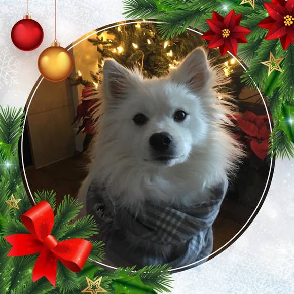 Meet your Posher, Leslie - Picture 1 of 1